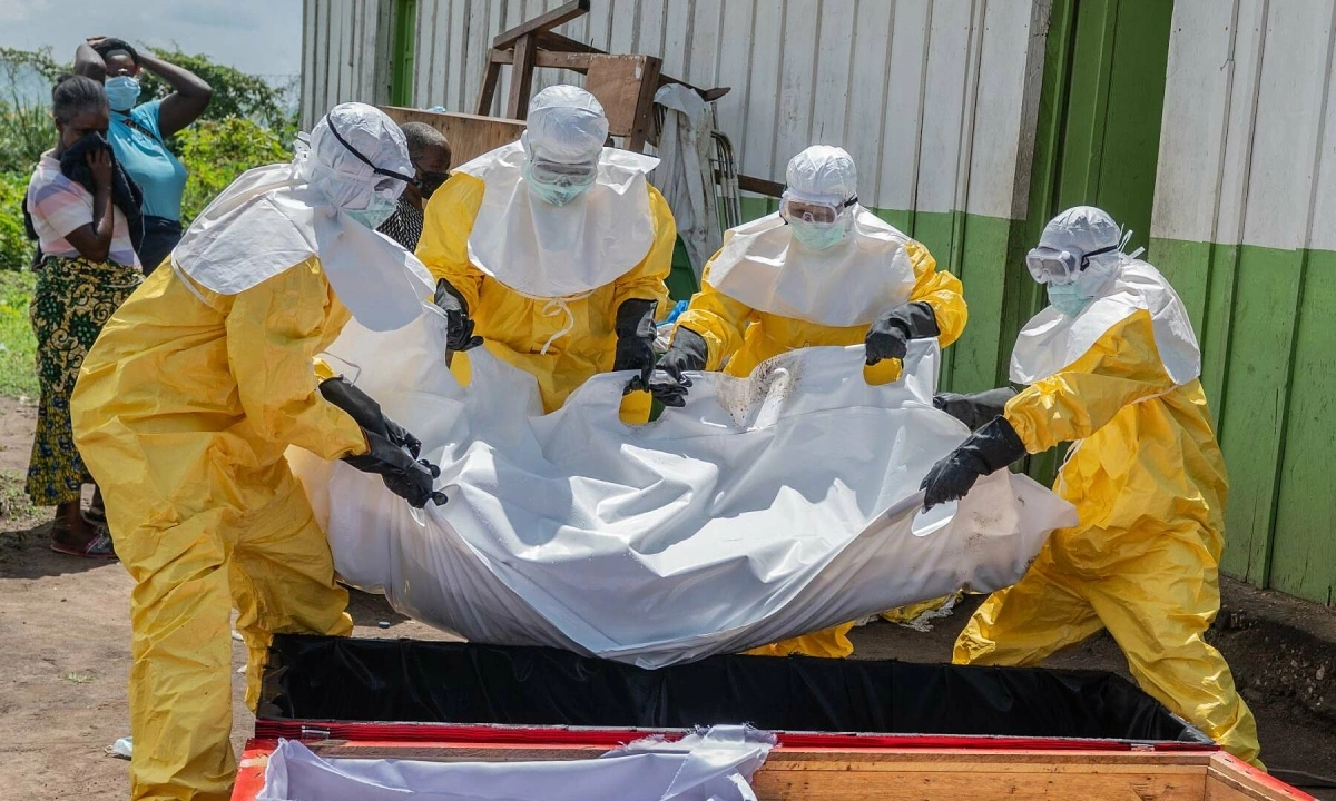 Đội tuyển CHDC Congo hủy tập huấn vì Ebola trước thềm World Cup 2026 - hình ảnh - new88jl.com Đội tuyển CHDC Congo hủy tập huấn vì Ebola trước thềm World Cup 2026 - hình ảnh - new88jl.com