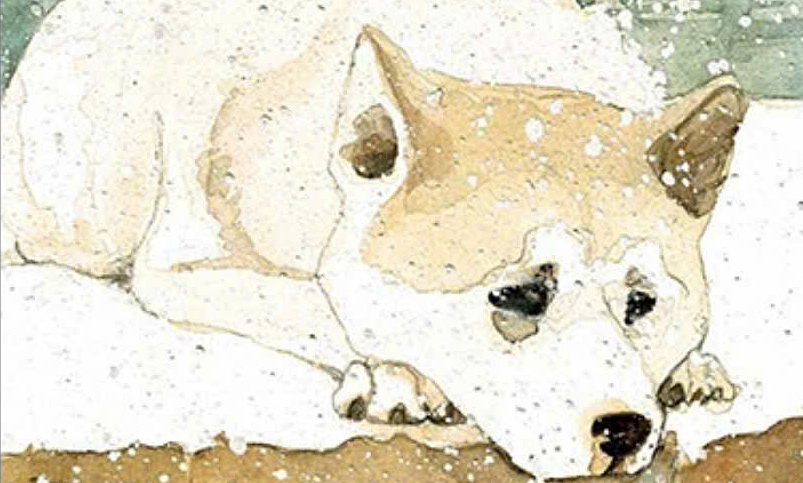 Cá cược thể thao uy tín và bài học trung thành từ ‘Hachiko, chú chó đợi chờ’ - hình ảnh - new88jl.com Cá cược thể thao uy tín và bài học trung thành từ ‘Hachiko, chú chó đợi chờ’ - hình ảnh - new88jl.com