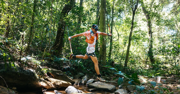 Tin vui chạy bộ địa hình: Vietnam Highlands Trail gia nhập UTMB® World Series từ 2027 - hình ảnh - new88jl.com