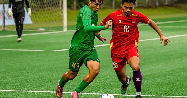 U.19 Việt Nam đối mặt thách thức tại giải Đông Nam Á 2026: Cơ hội nào cho người hâm mộ? - hình ảnh - new88jl.com