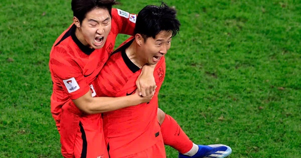 NEW88 bắn cá và cuộc so tài Á – Phi tại World Cup 2026 - hình ảnh - new88jl.com