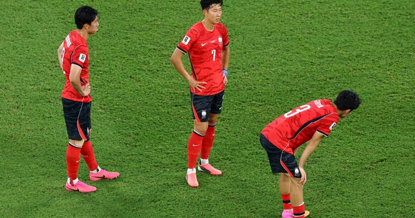 Thể thao trực tuyến: Hàn Quốc thất vọng tại World Cup, Nhật Bản tiếp tục tỏa sáng - hình ảnh - new88jl.com