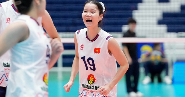 NEW88 cược bóng đá