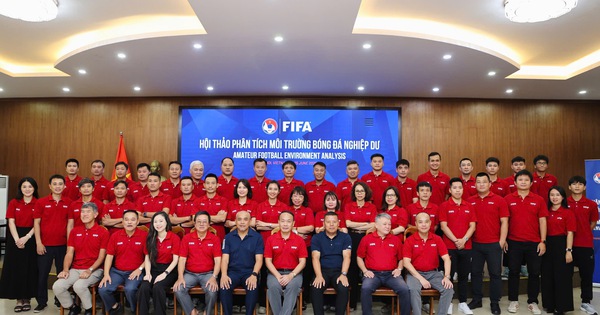 FIFA chỉ ra hướng phát triển bóng đá phong trào Việt Nam - hình ảnh - new88jl.com