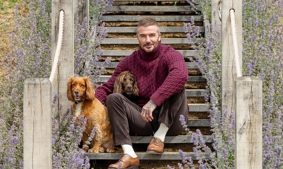 Phong Cách Mặc Giàu Ngầm Của David Beckham Và Sức Hút Của NEW88 Việt Nam - hình ảnh - new88jl.com Phong Cách Mặc Giàu Ngầm Của David Beckham Và Sức Hút Của NEW88 Việt Nam - hình ảnh - new88jl.com